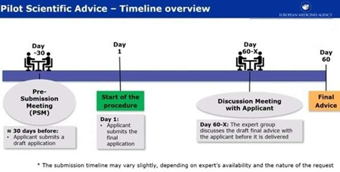 pilot scientific advice - timeline overview