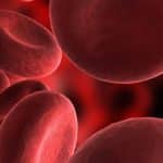 red blood cells