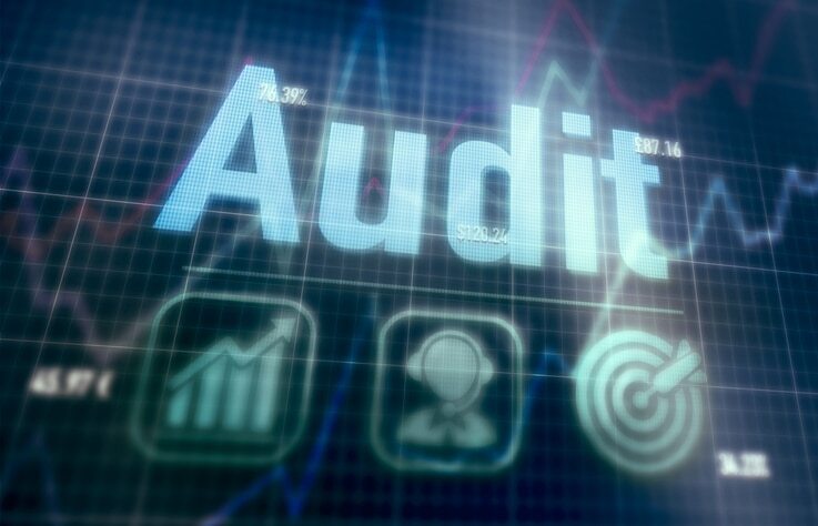 audit graphic