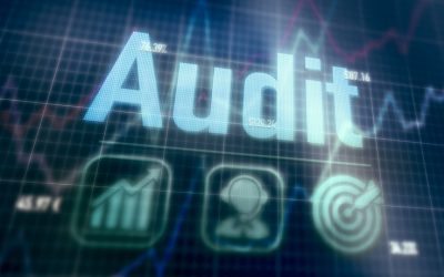 Virtual Audit Planning