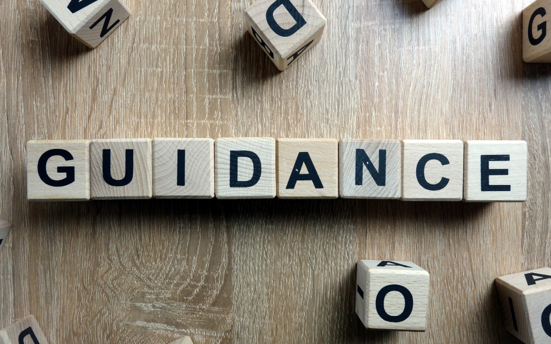 New Guidance Released on EU MDR Vigilance Terms and Concepts
