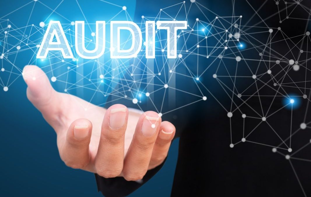 Auditing 101 – Part 1: Fundamentals of Medical Device Audits